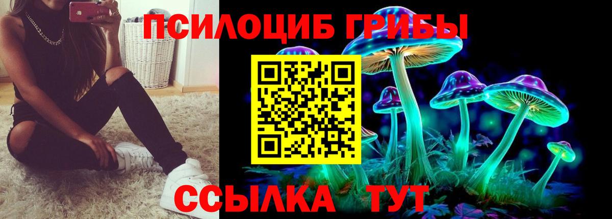 Псилоцибиновые грибы мицелий  Псилоцибиновые грибы мицелий  Вход с VPN  Энгельс 